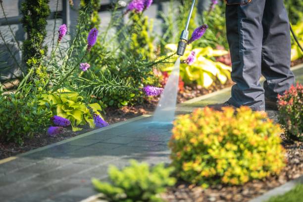 Best Animal Enclosure Cleaning  in North Arlington, NJ