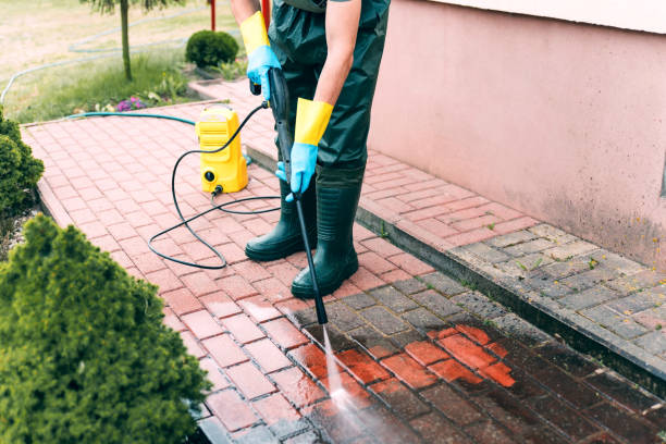 Best Parking Lot and Garage Cleaning  in North Arlington, NJ